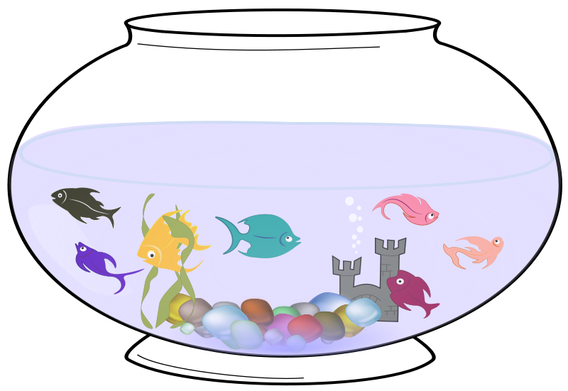 Fishes in a Bowl