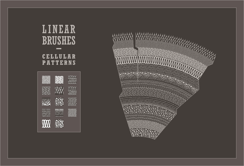 Cellular pattern brushes