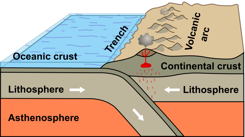 Oceanic Continental Convergence