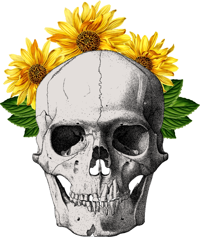 Sunflower Skull