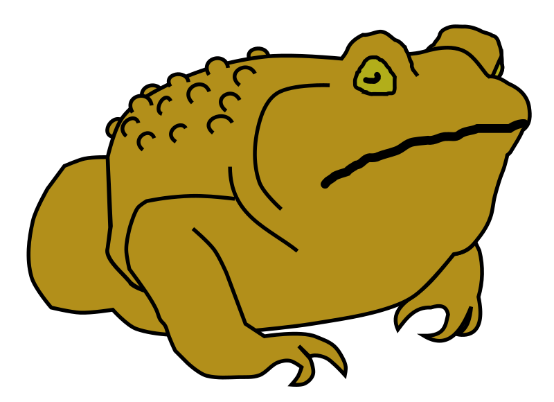 Golden Toad