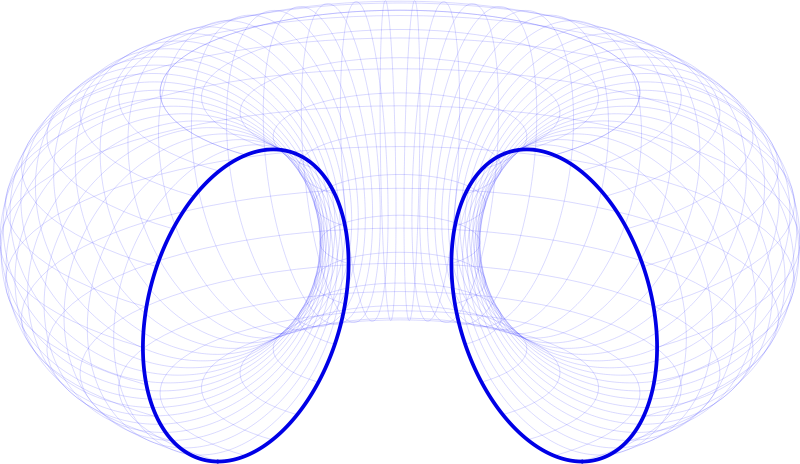 Torus