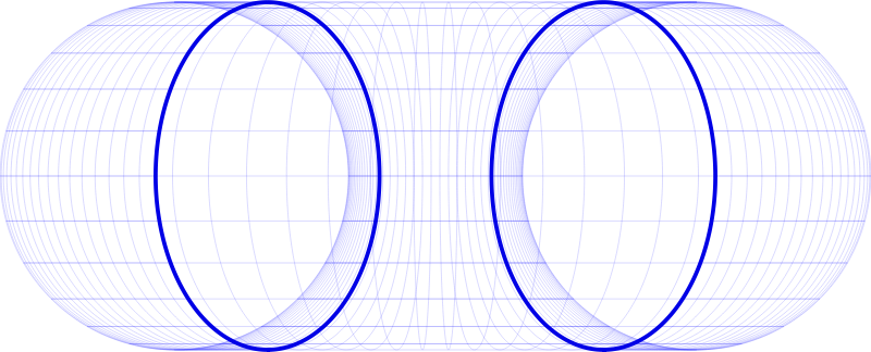 Torus front view