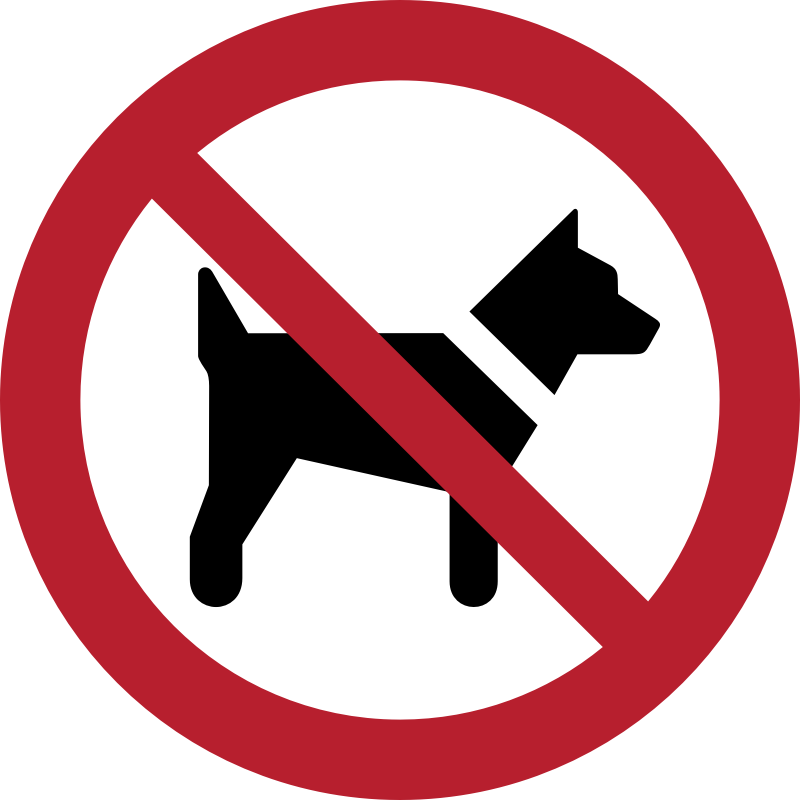 No dogs