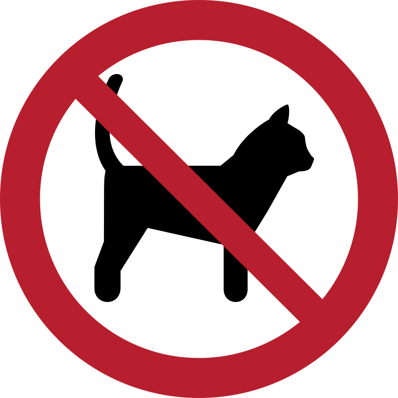 No cats