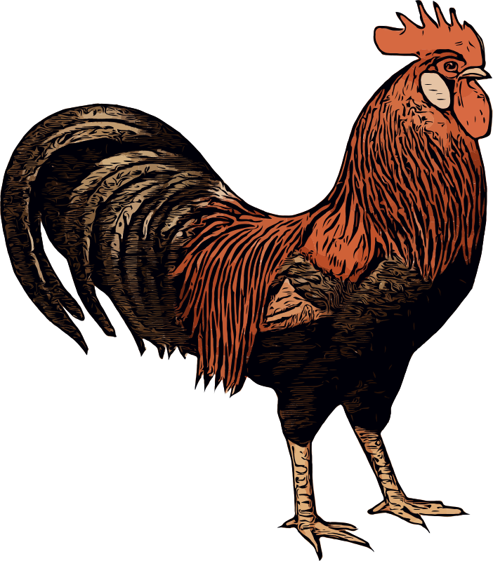 Rooster - Openclipart