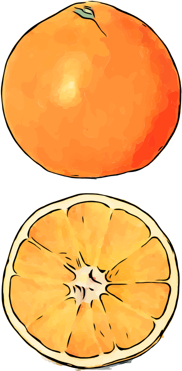 Orange Slice