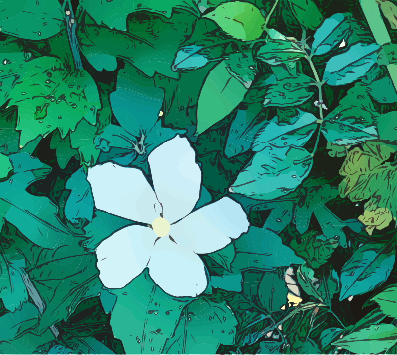 White Flower on Green