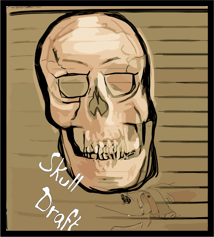 skull draft 3
