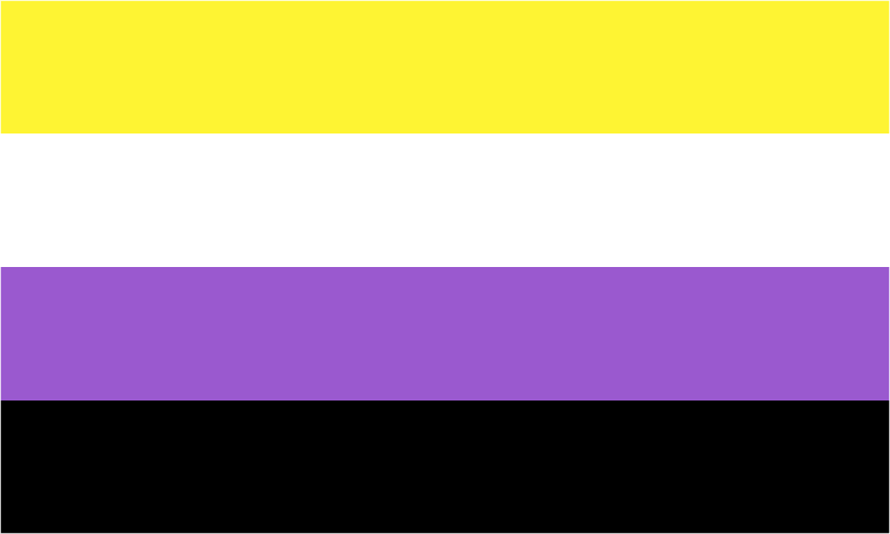 Non-binary gender identity pride flag white border 