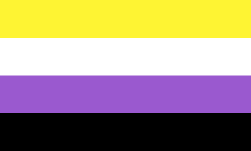 Non-binary lgbt pride flag