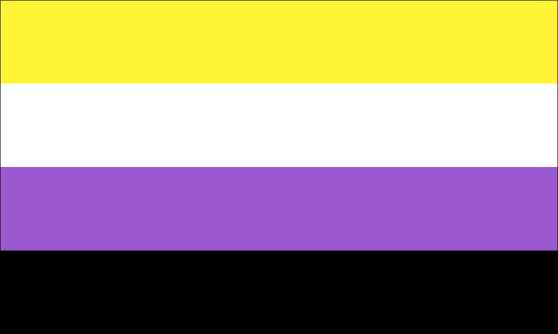 Non-binary gender identity pride flag with black border 