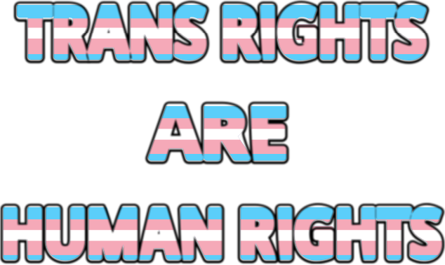 Trans rights are human rights transgender sign