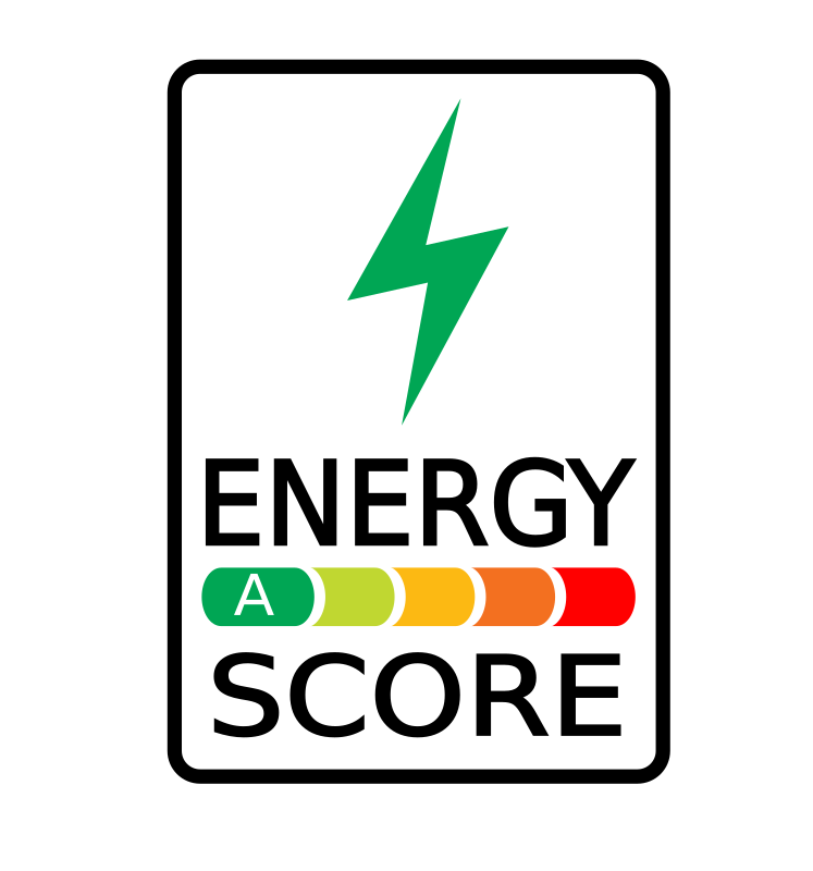 energy score alt 2