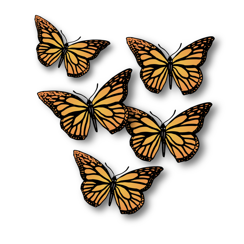 Five Butterflies