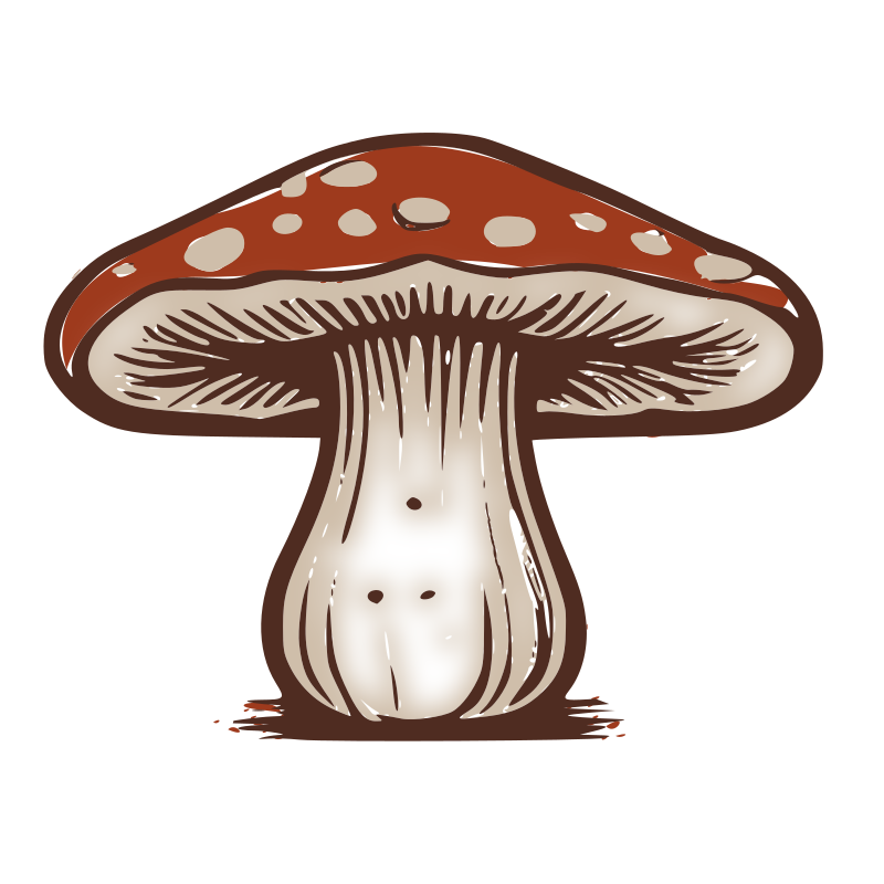 Mushroom - Isolated