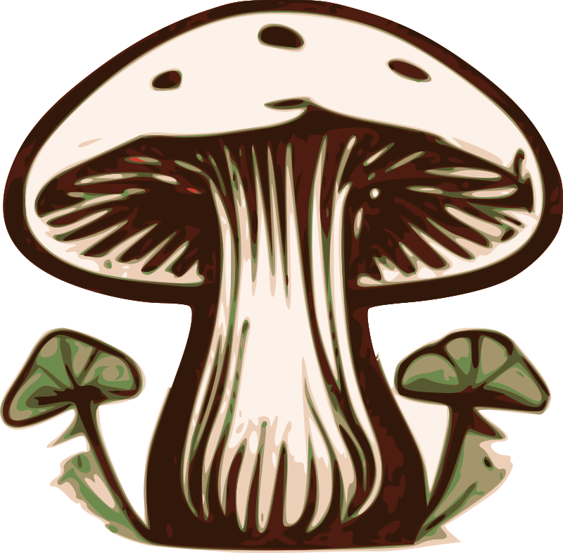 Joyful Mushroom