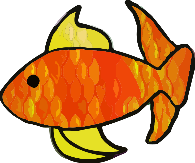 A goldfish