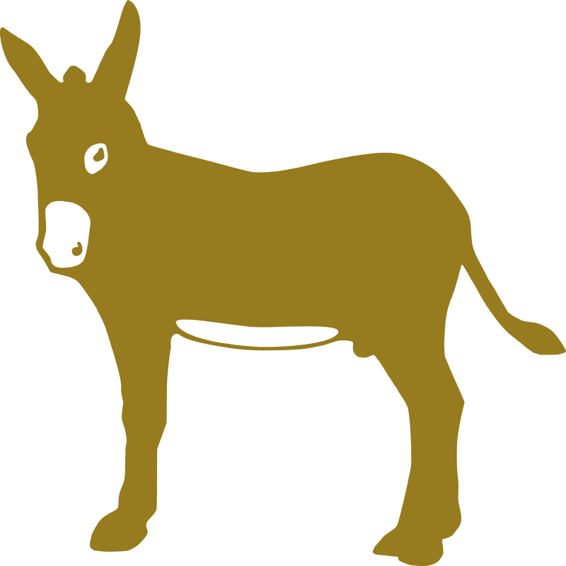 Donkey