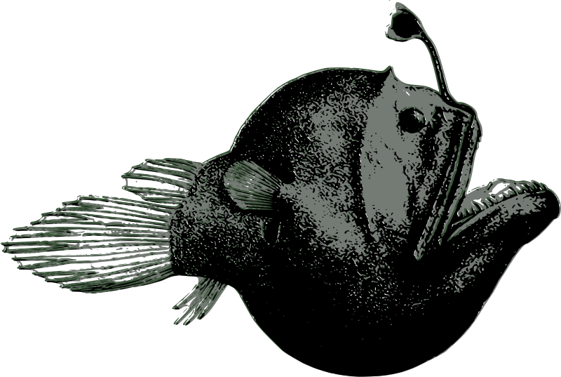 Anglerfish