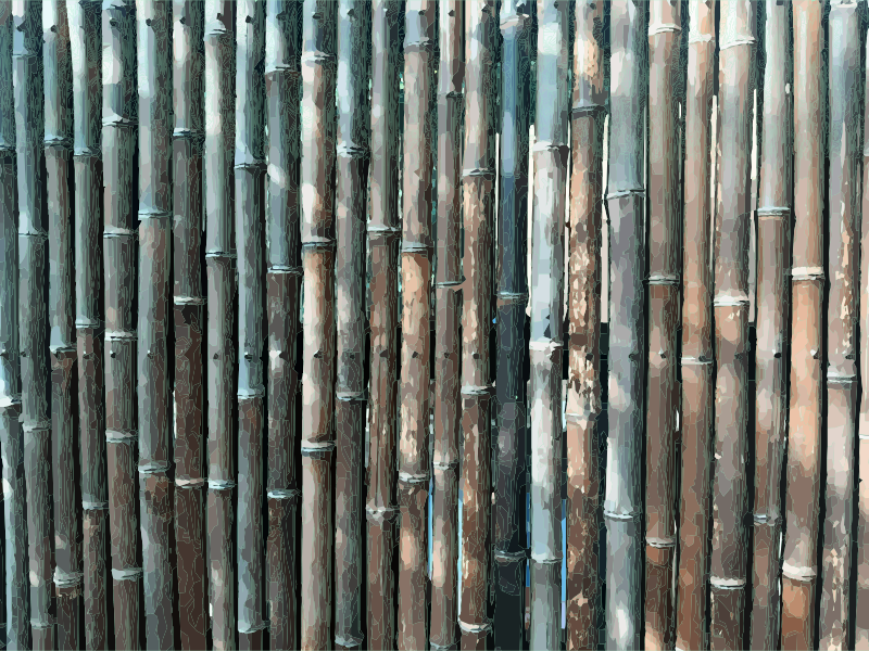 Bamboo Fence