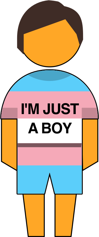 I'm just a boy transgender symbol