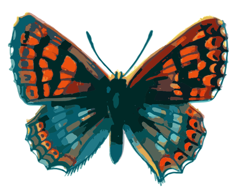 Orange Butterfly