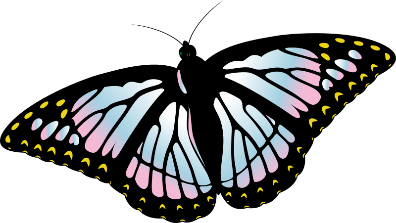Trans Pride Monarch Butterfly