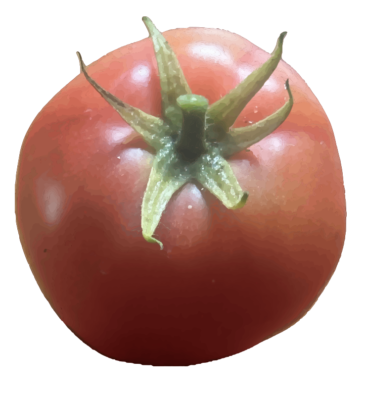 Fresh Tomato