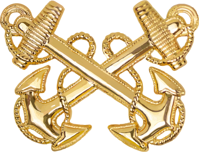 Navy Warrant Officer (W-1) Cap Insignia