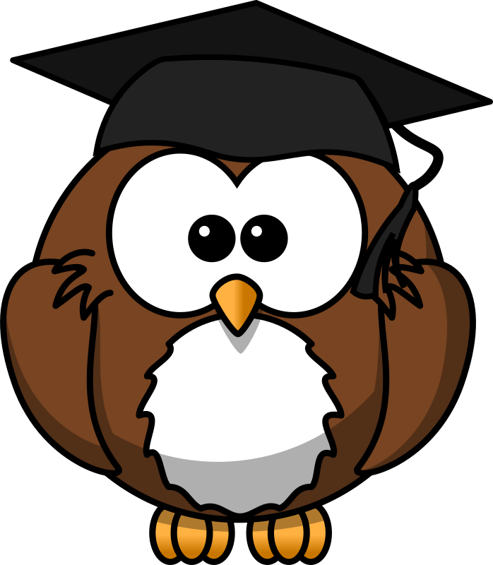 Owl with graduation cap