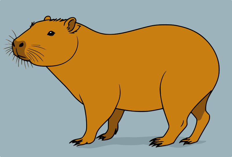 Capybara