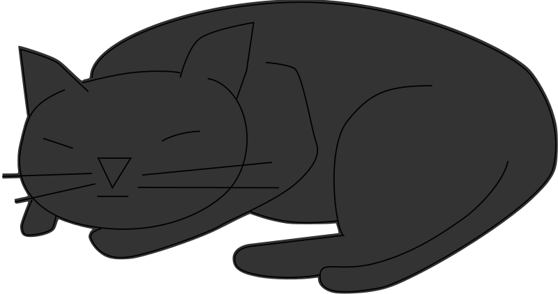 Sleeping black cat