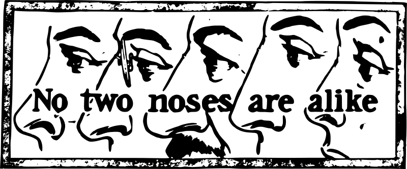 No Two Noses