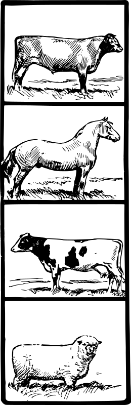 Livestock