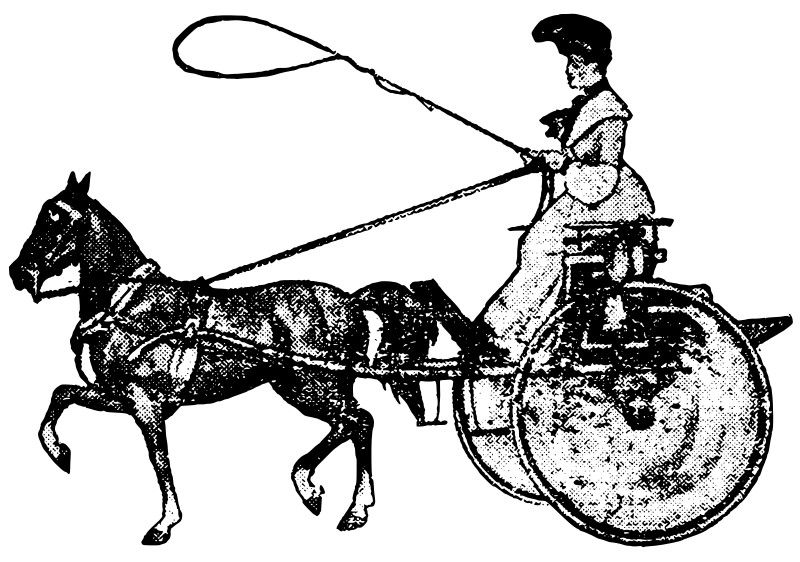 Two Wheel Carriage