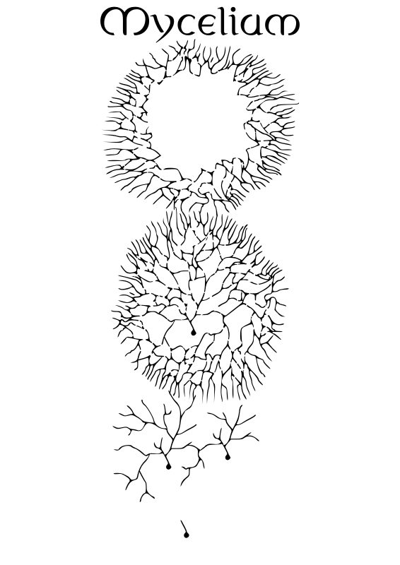 mycelium growth