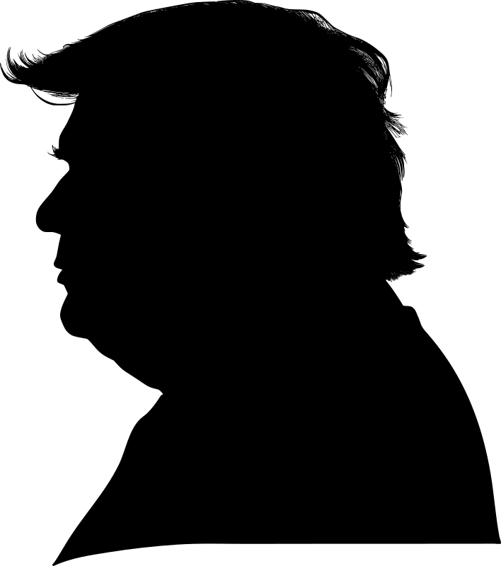 AL Generated Donald Trump Portrait 4