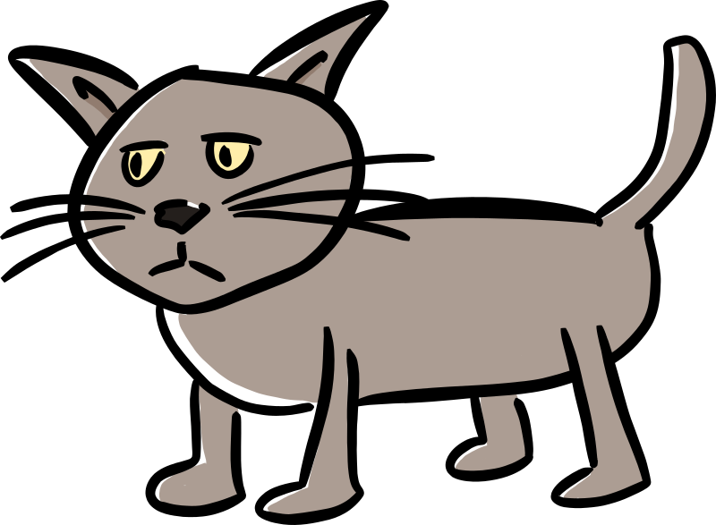 Light Brown Cat