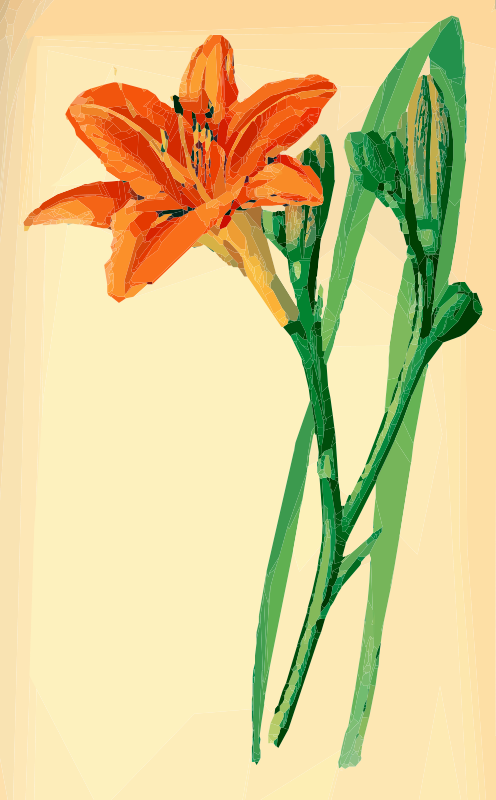 Day Lily