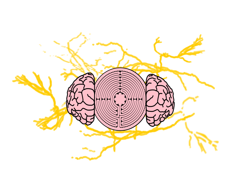 Brain Maze