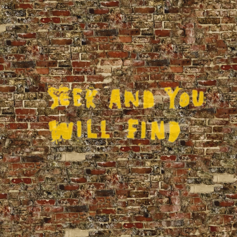 Seek and You Will Find - Remix