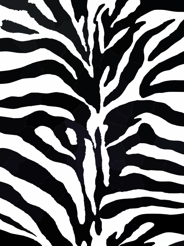 Zebra Pattern