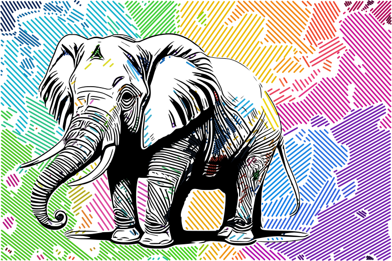 Elephant in a Rainbow