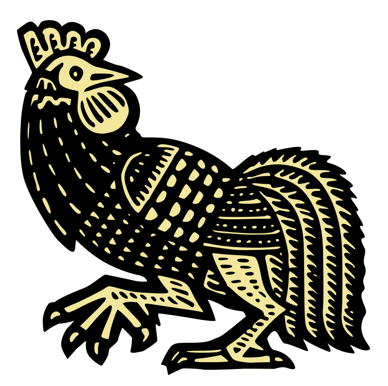 Rooster (isolated)