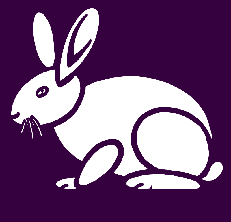 Simple Rabbit Purple