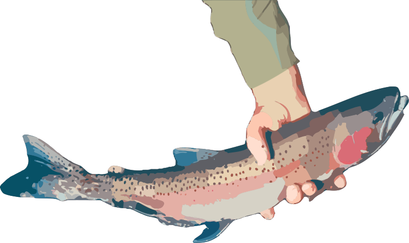 Hand with Trout