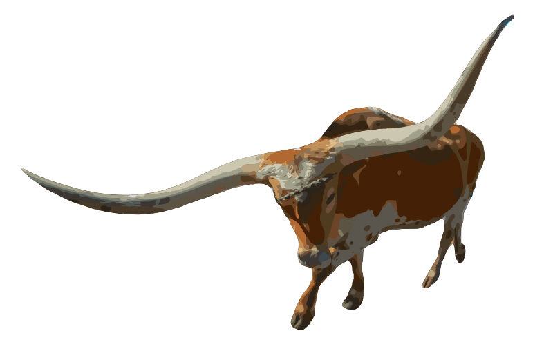 Longhorned Steer