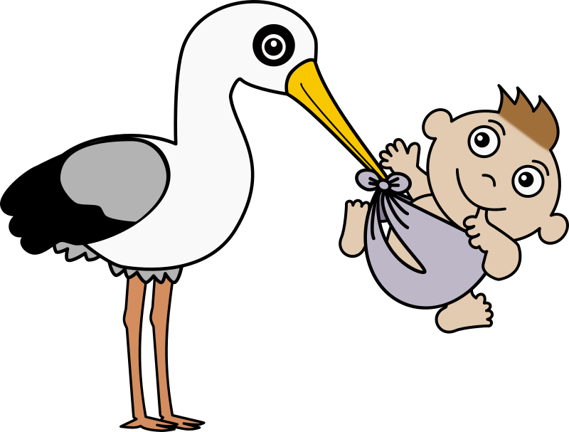 Stork and Baby - Colour Remix