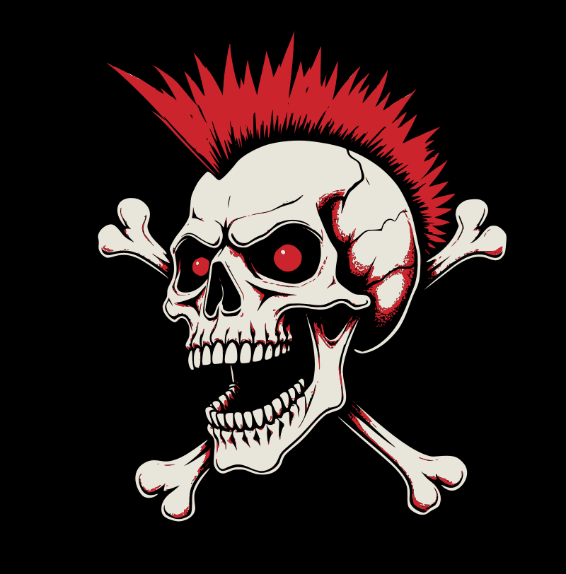 Punk skull